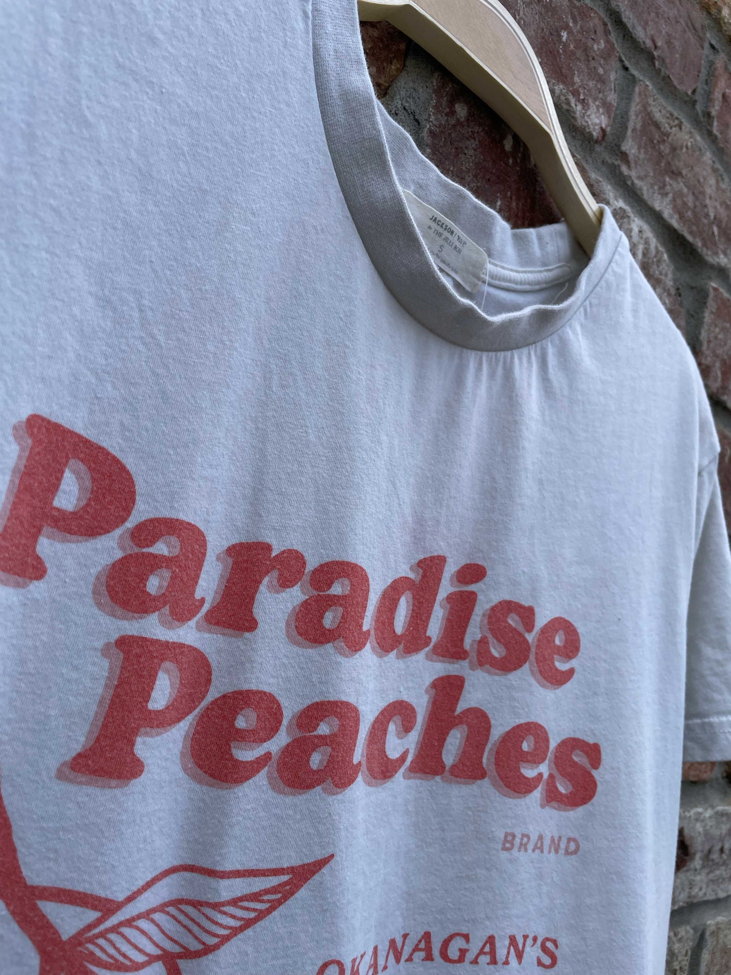 jackson rowe x the jilly box crop peaches tee