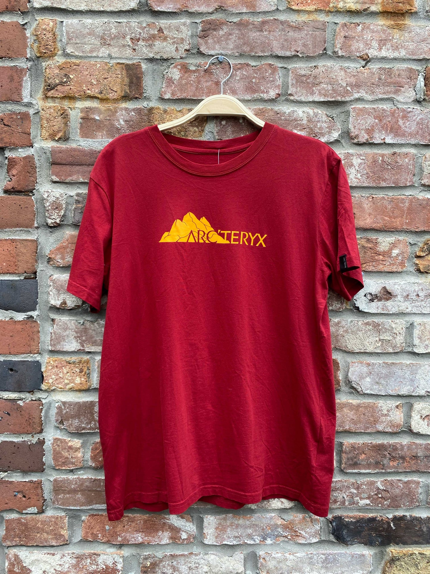 00's arc'teryx mountain logo tee