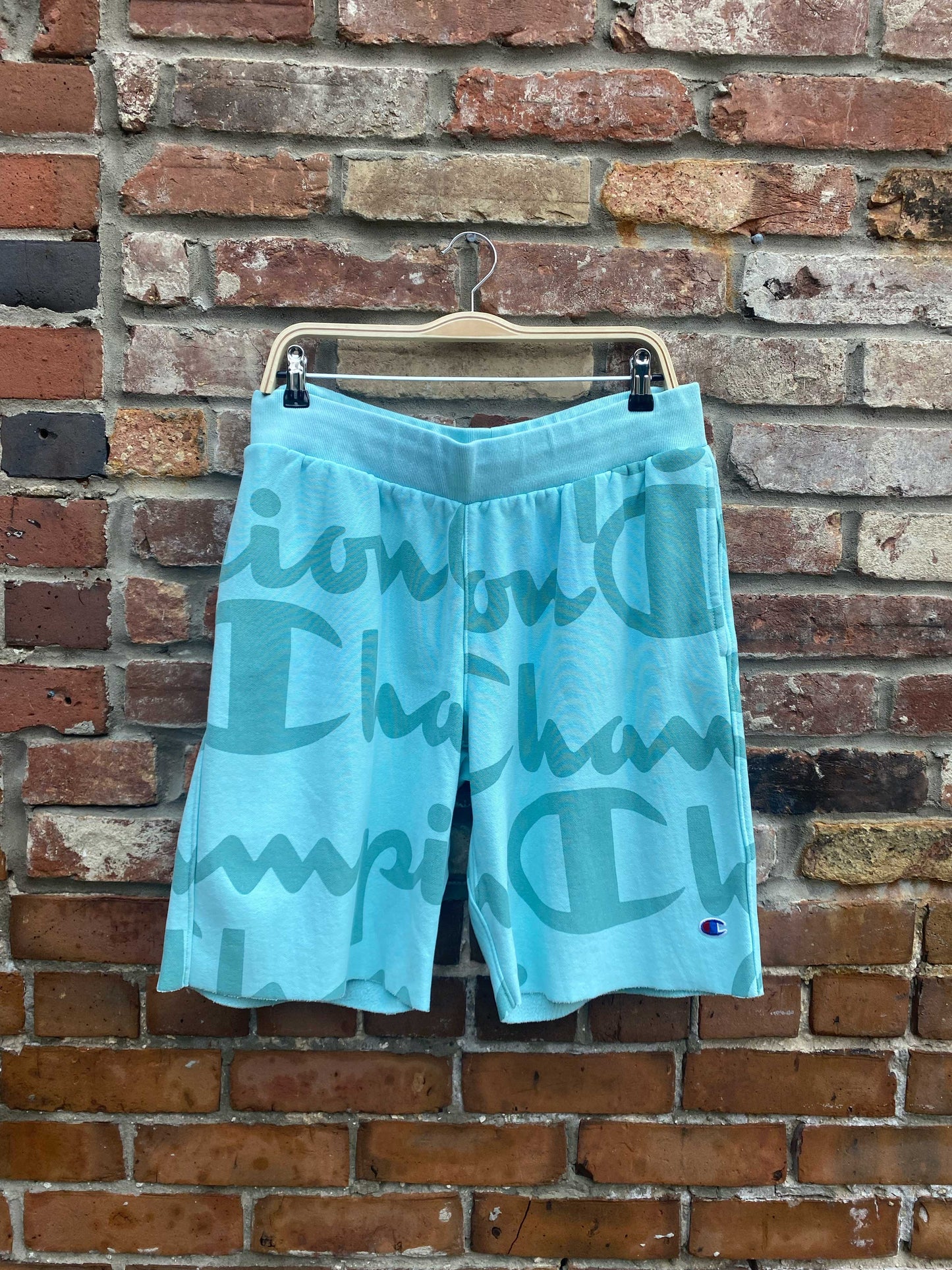 champion teal cut off jogger shorts