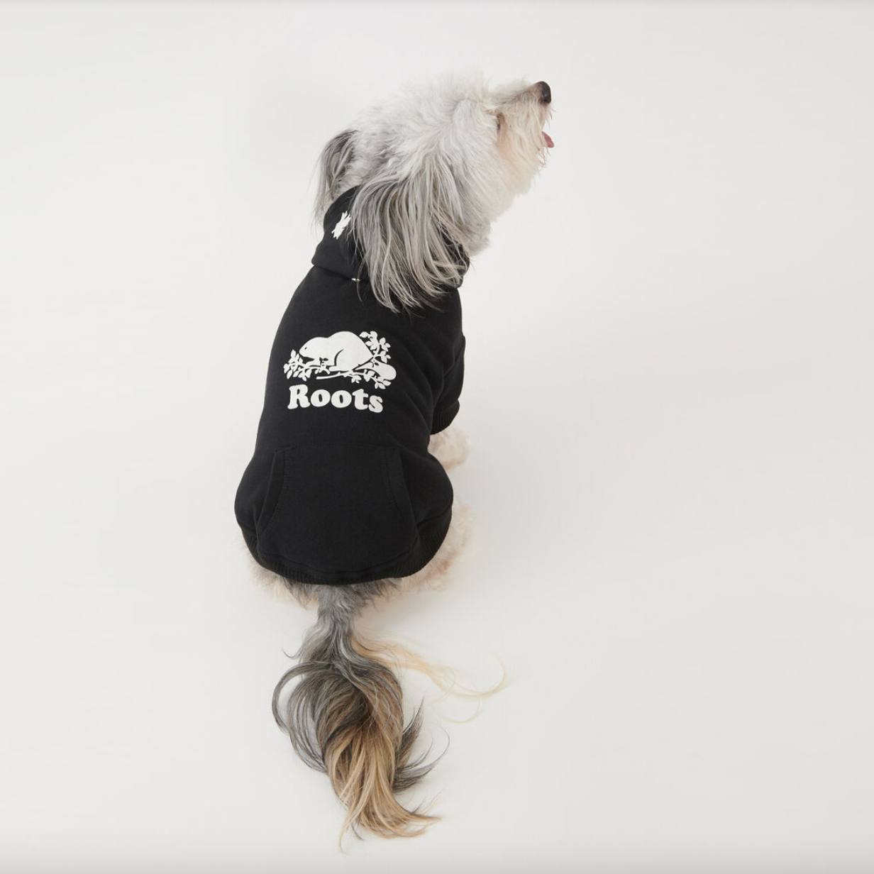 roots x canada pooch 2021 dog hoodie