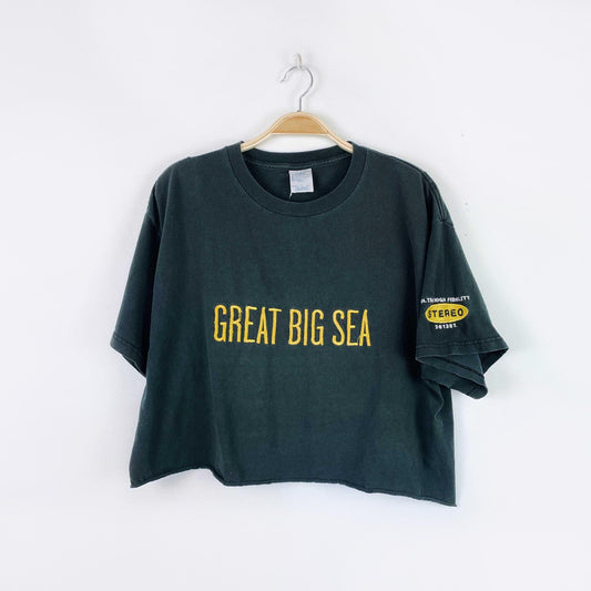 vintage 90s great big sea crop tee