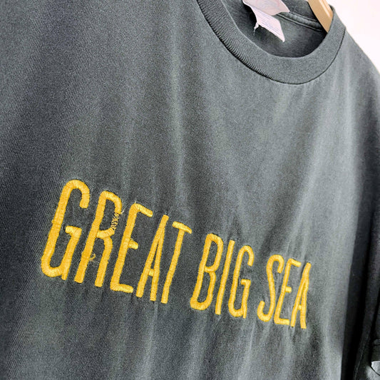 vintage 90s great big sea crop tee