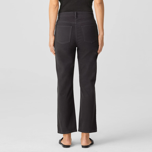 eileen fisher organic cotton straight leg jeans - size 2P