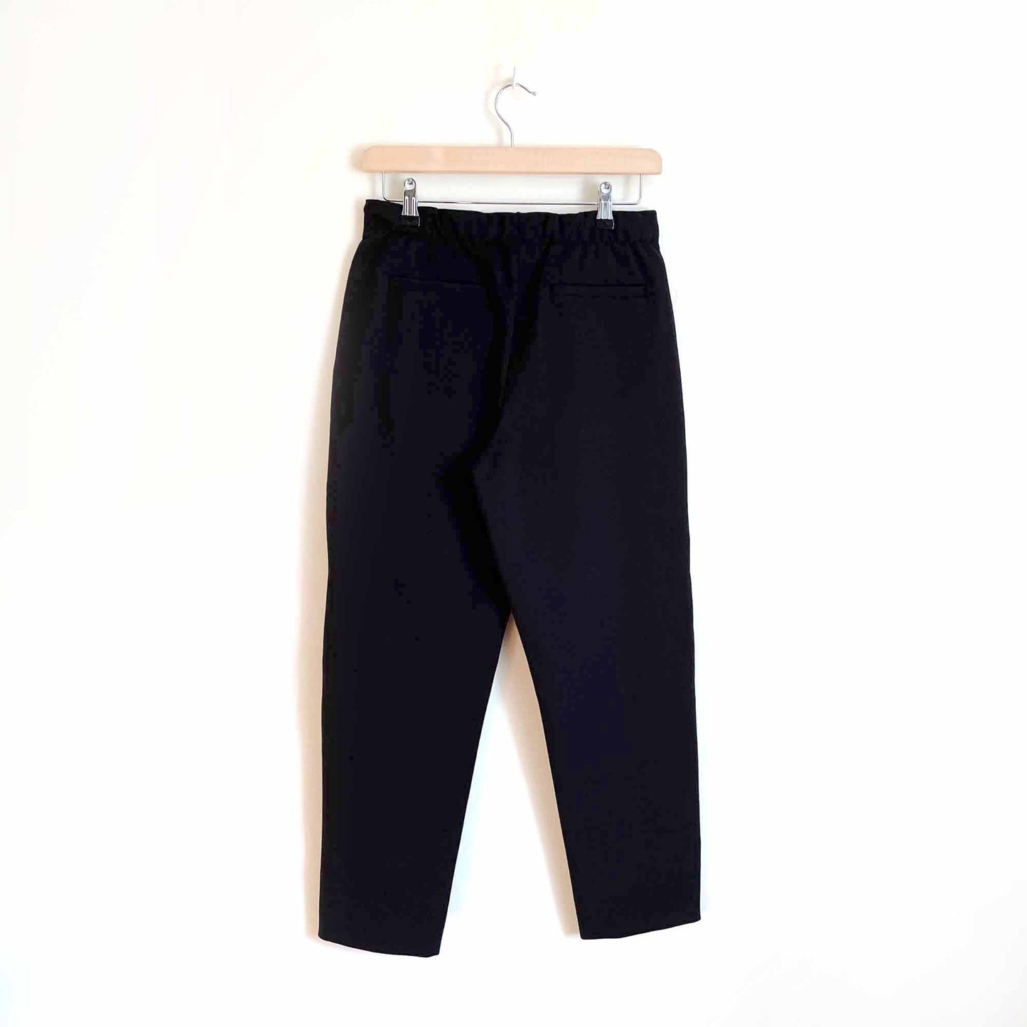 nwt everlane the dream pant trouser jogger - size small